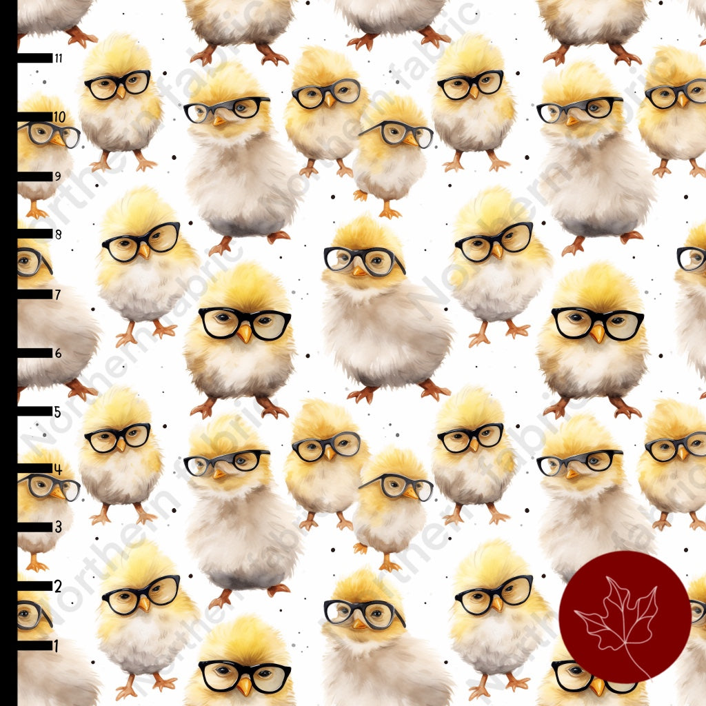 Chicks in Glasses