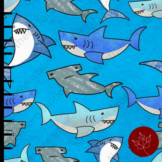 Cartoon Sharks