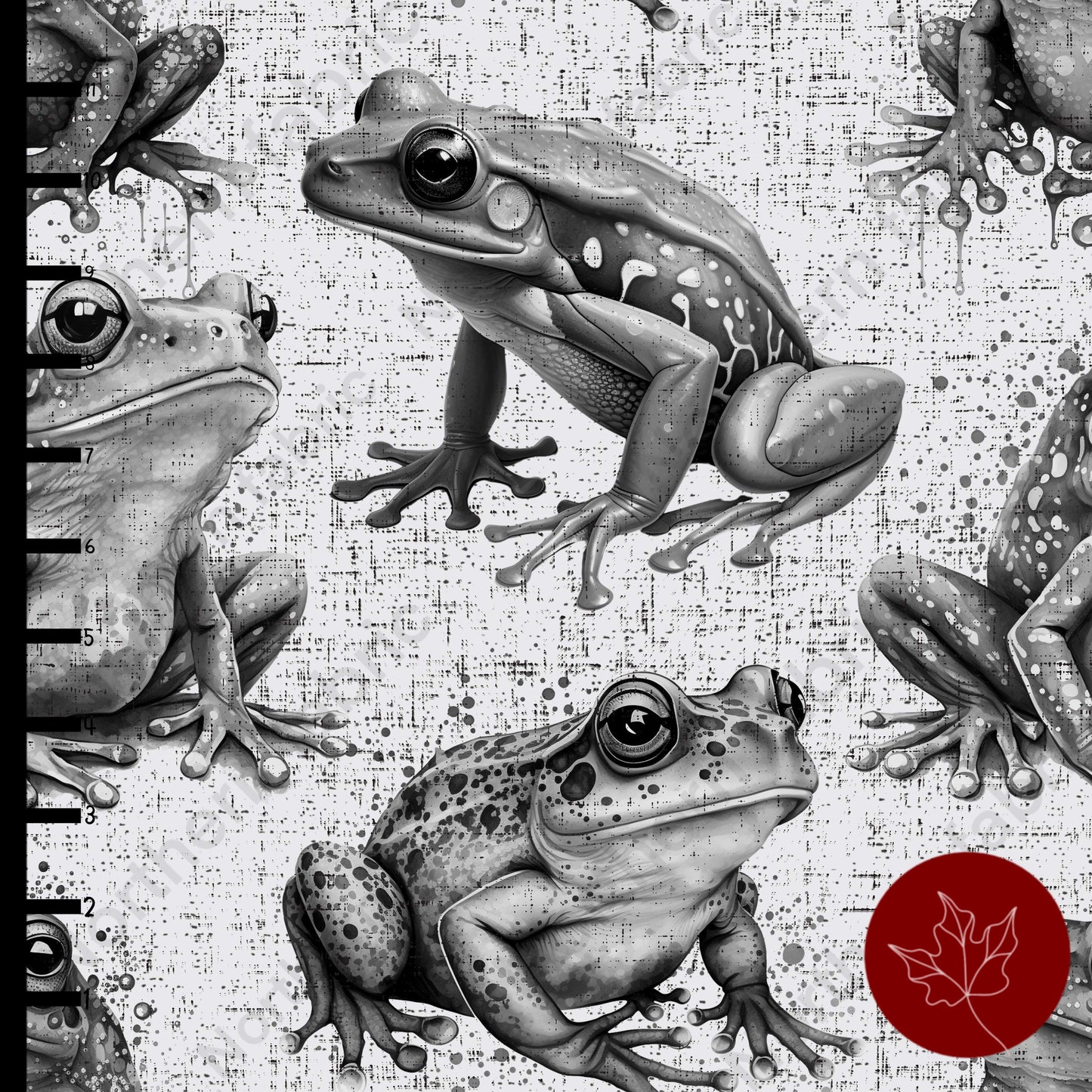Monochrome frogs