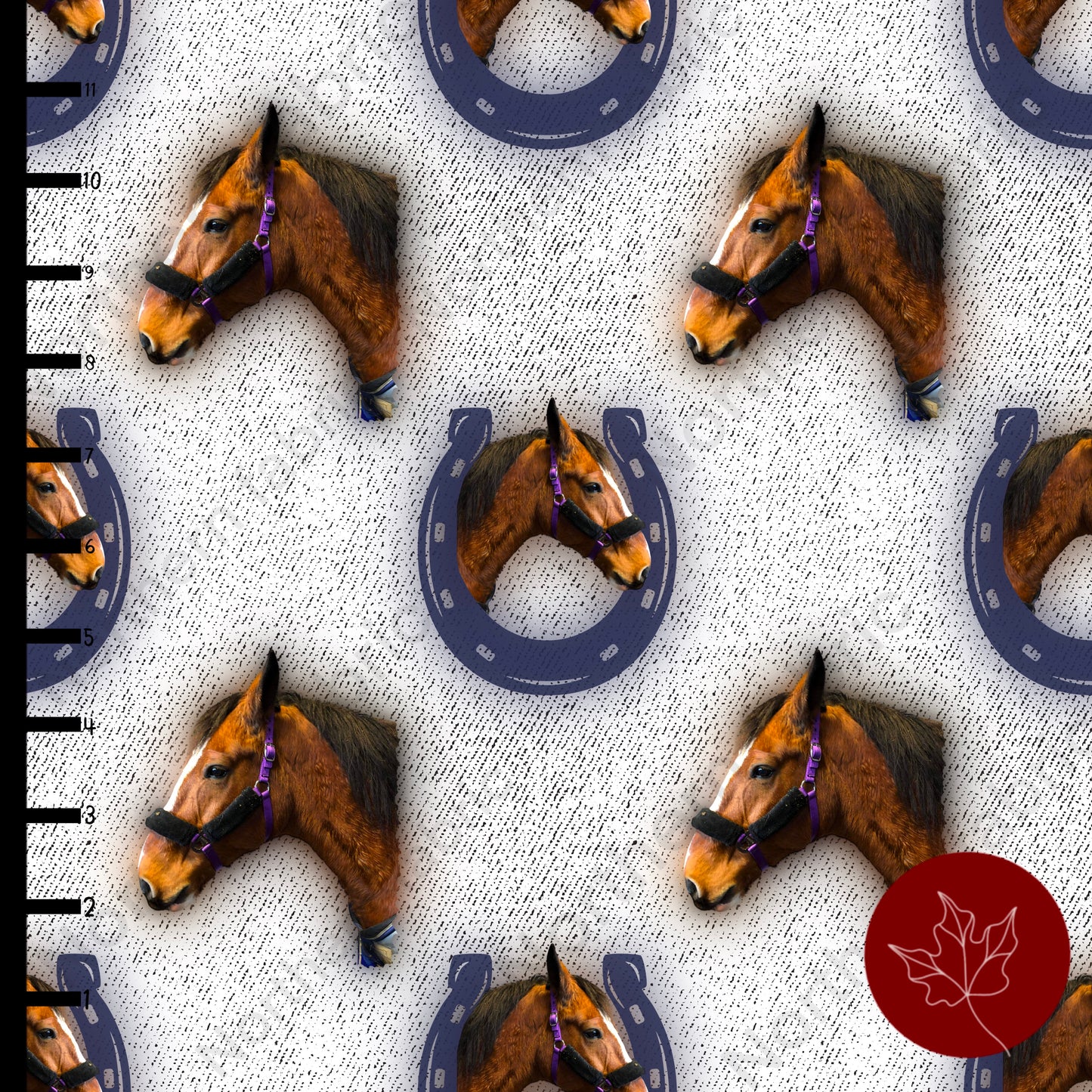 horseshoe horses