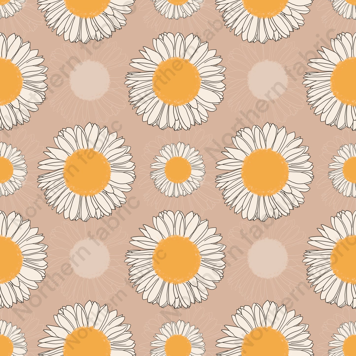 daisies on peach